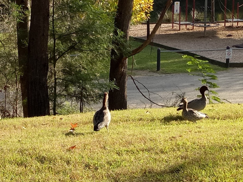 Play by the River Bank | park | Murray to the Mountains Rail Trail, Porepunkah VIC 3740, Australia