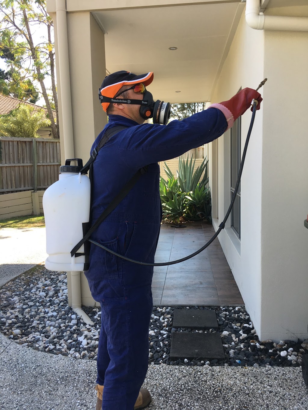 Total Termite & Pest Control | 5-9 Dover Ct, Burpengary East QLD 4505, Australia | Phone: 1300 186 825