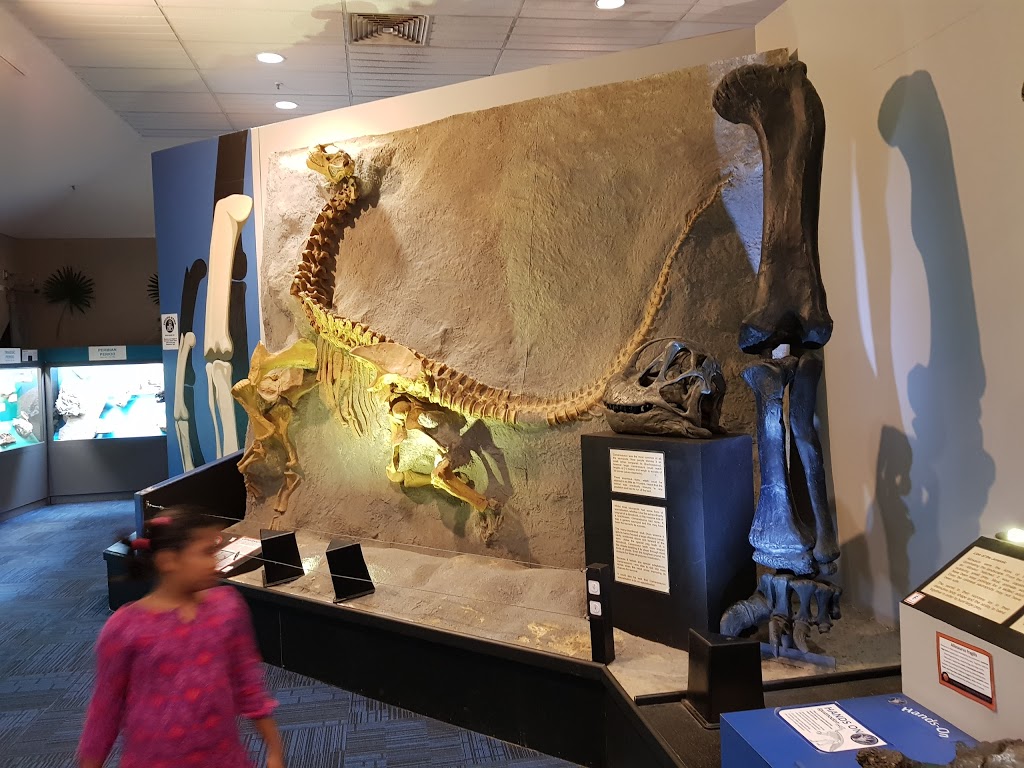 National Dinosaur Museum | 6 Gold Creek Rd, Nicholls ACT 2913, Australia | Phone: (02) 6230 2655