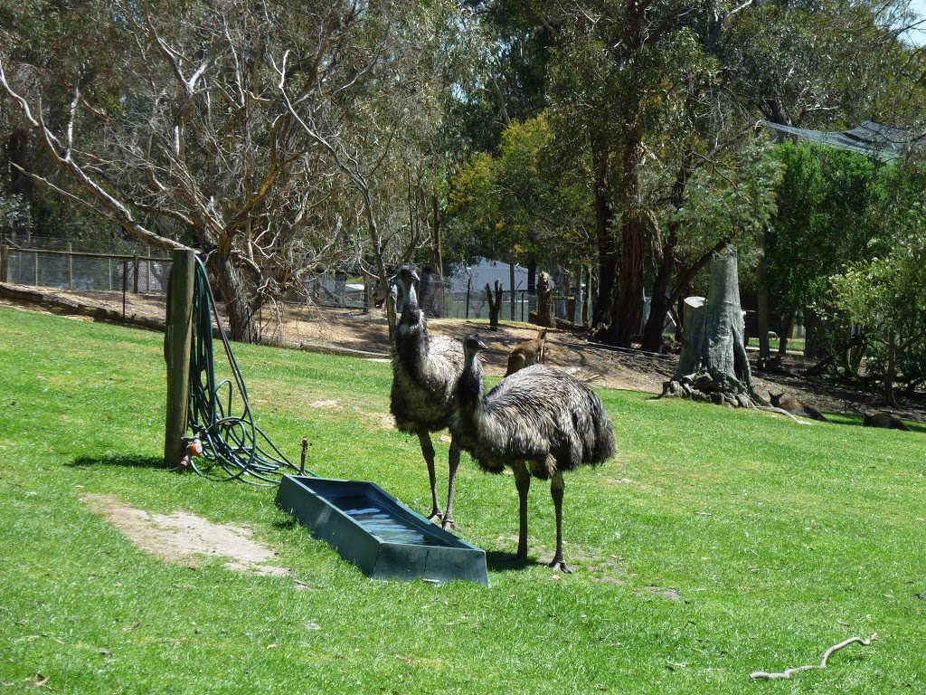 Wildlife Park | park | Ballarat East VIC 3350, Australia