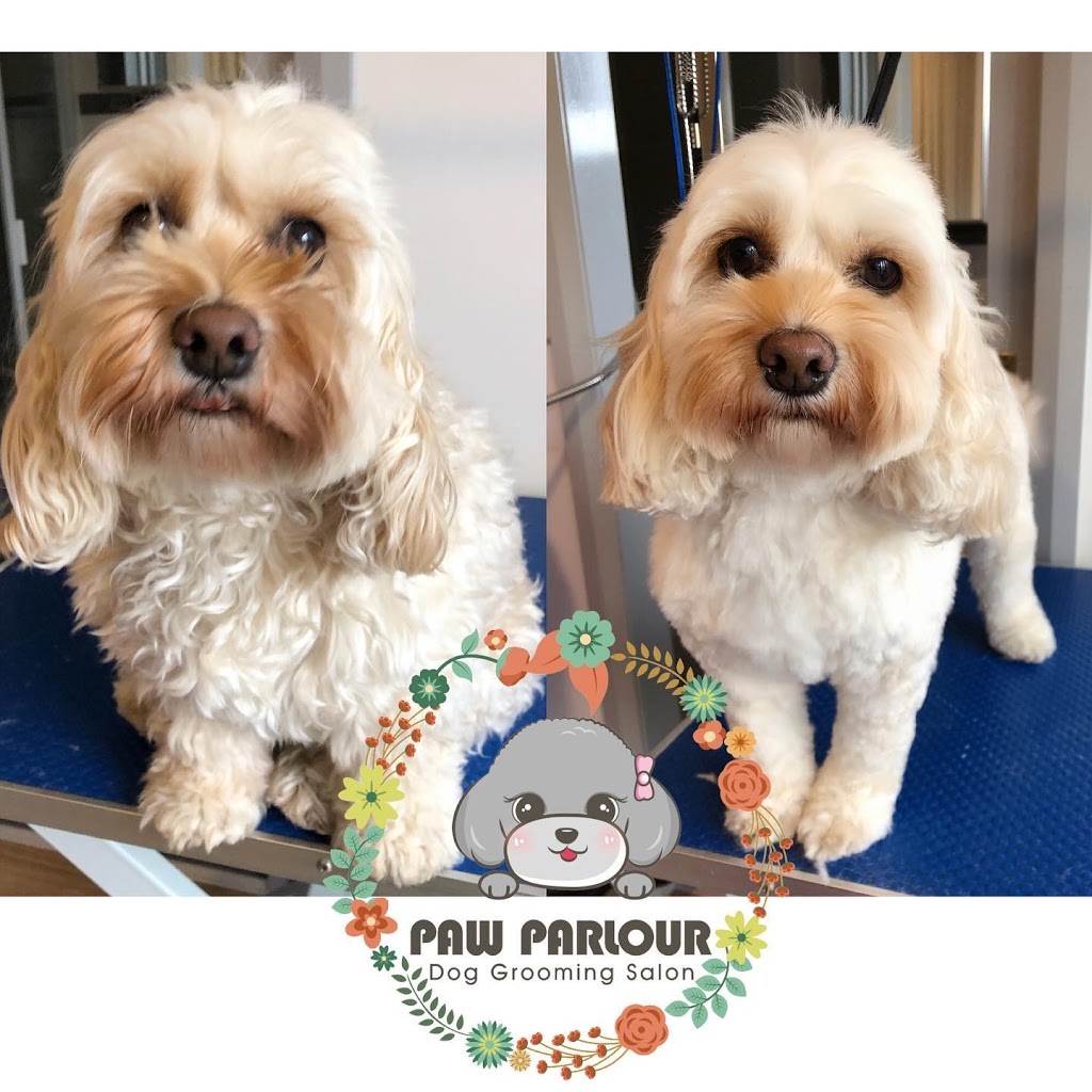 Paw Parlour Dog Grooming Salon | 107 Ayr St, Doncaster VIC 3108, Australia | Phone: 0432 118 960