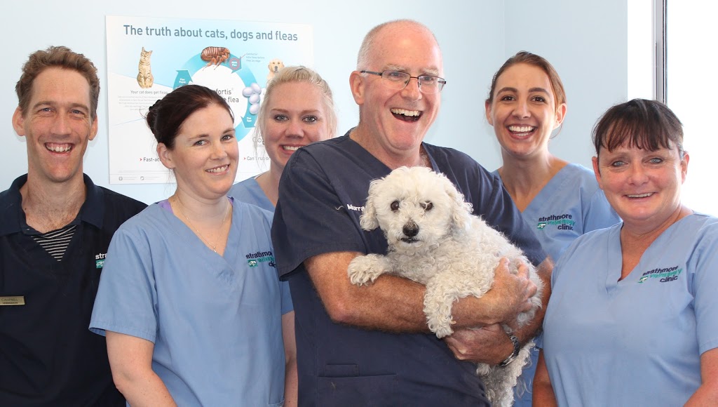 Strathmore Veterinary Clinic | veterinary care | 314 Napier St, Strathmore VIC 3041, Australia | 0393793438 OR +61 3 9379 3438