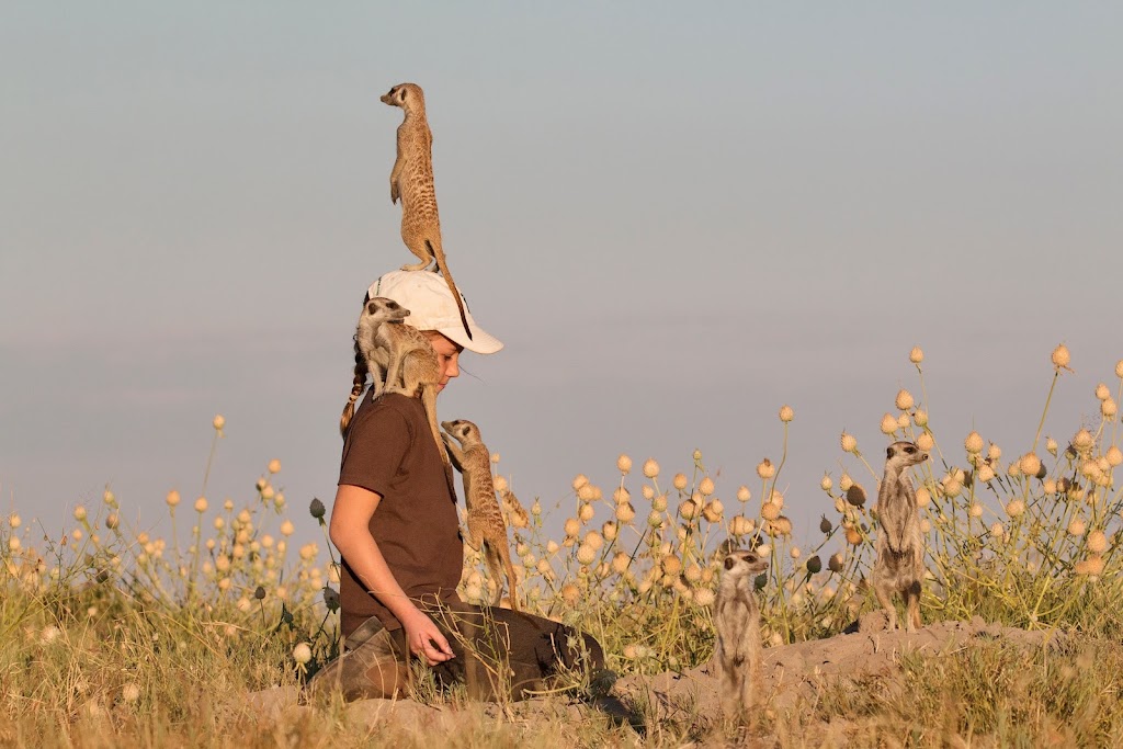 African Family Safaris | 42 Rigney Dr, Brierfield NSW 2454, Australia | Phone: (02) 6655 1838