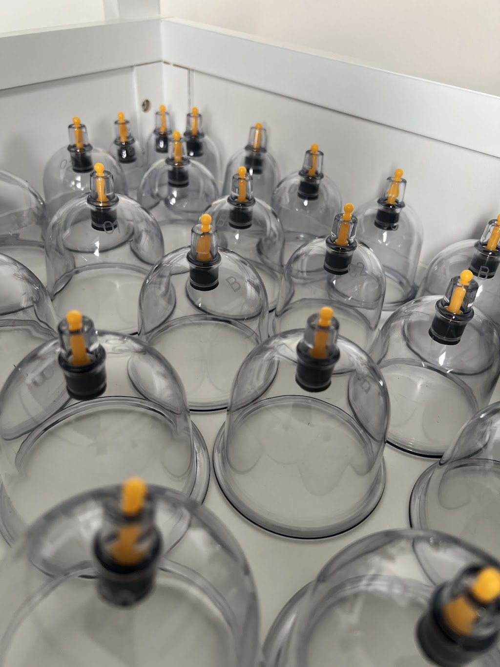 Revive by Savanna | Nosilla St, Smythes Creek VIC 3351, Australia | Phone: 0447 636 041