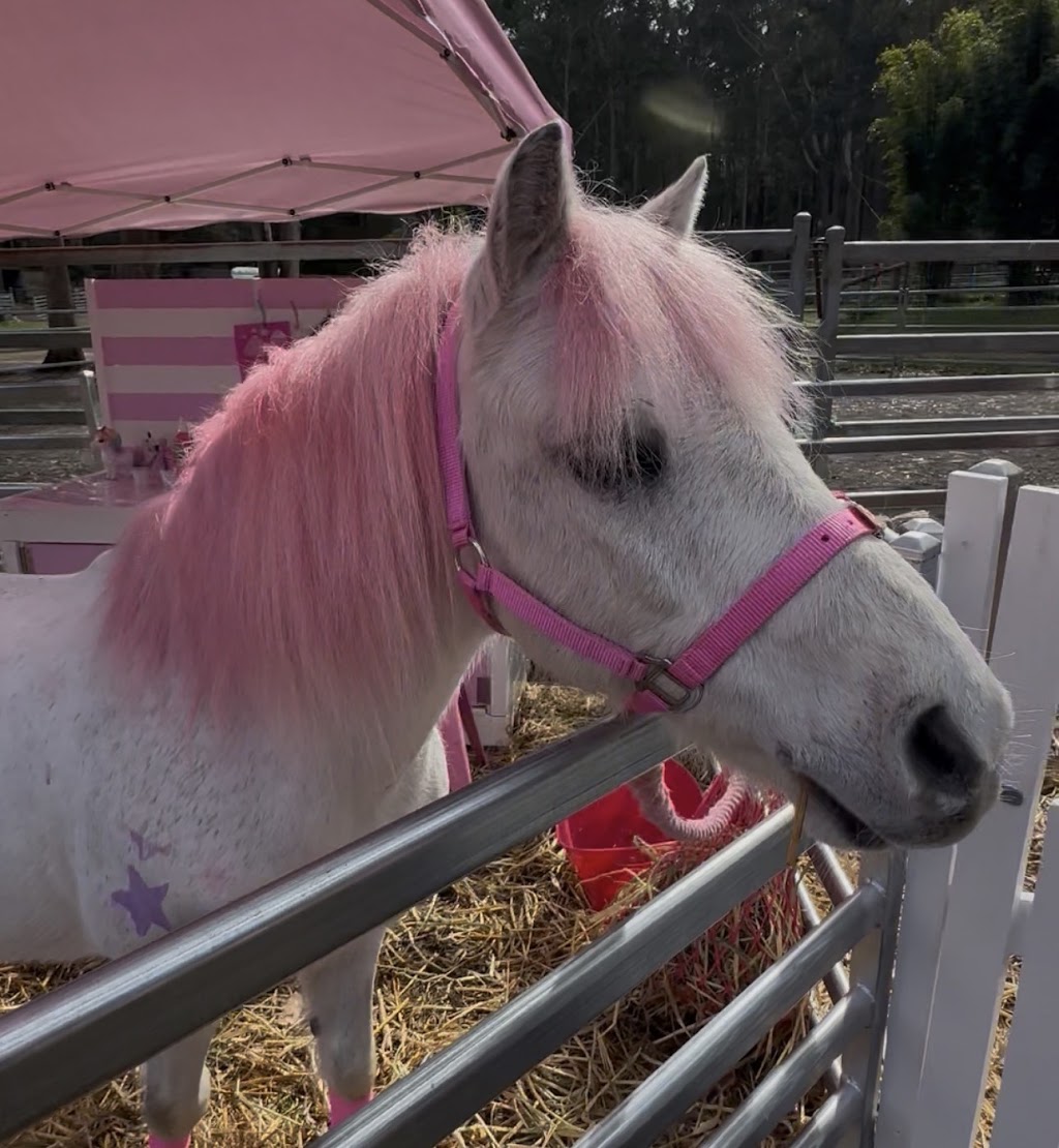Symphony’ Secret Pony Garden | Toepfers Rd, Wyee NSW 2259, Australia | Phone: 0414 494 930