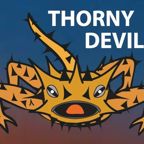 Securi-Cap - Thorny Devil | 473 Warrigal Rd, Moorabbin VIC 3189, Australia | Phone: 1300 791 598