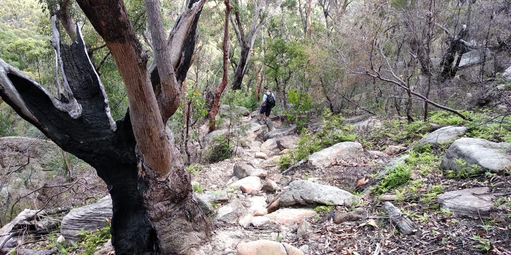 Great North Walk Log Box | Hawkesbury Track, Cowan NSW 2081, Australia