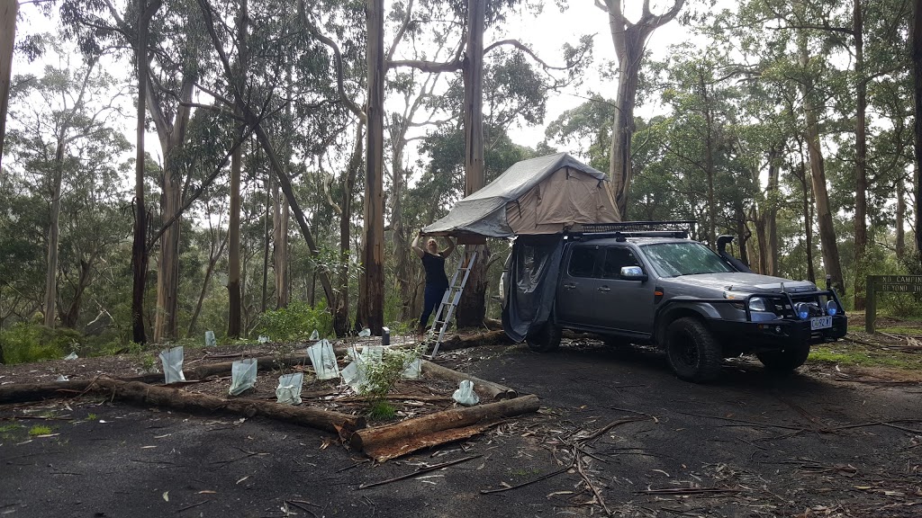 Sharps Camping Area | campground | Lorne VIC 3232, Australia