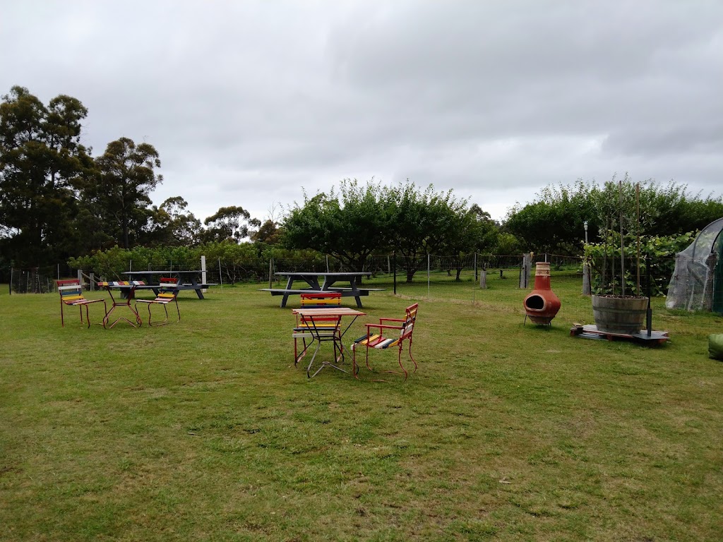 Cerise Brook Orchard and Family Golf Course | 315 Medeas Cove Rd, St Helens TAS 7216, Australia | Phone: 0434 678 047