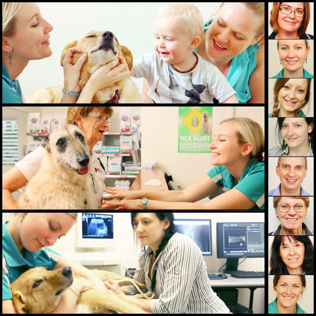 Rose Avenue Veterinary Hospital | veterinary care | 173 Rose Ave, Coffs Harbour NSW 2450, Australia | 0266521566 OR +61 2 6652 1566