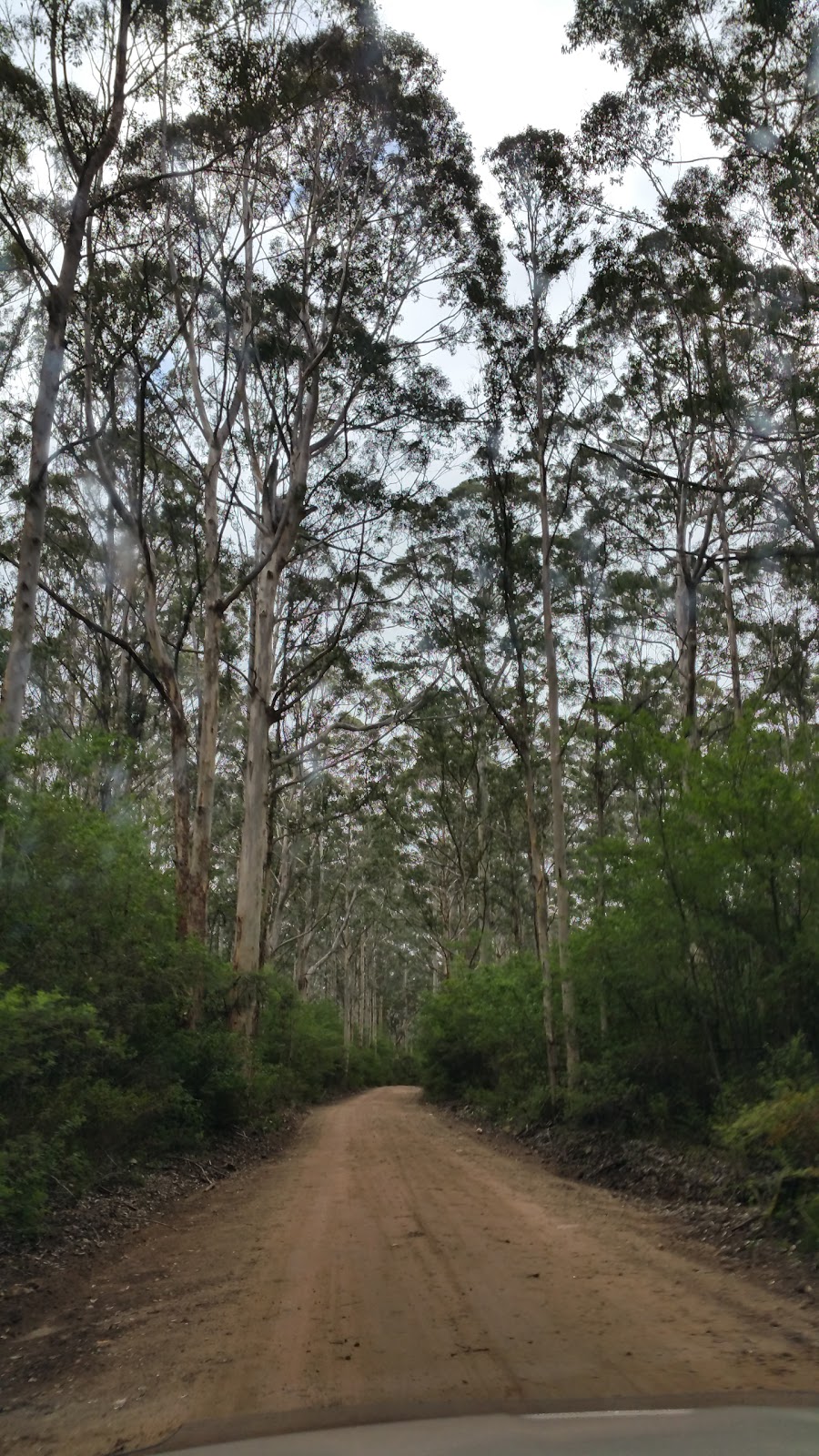 State Forest No 45 | park | Boranup WA 6286, Australia