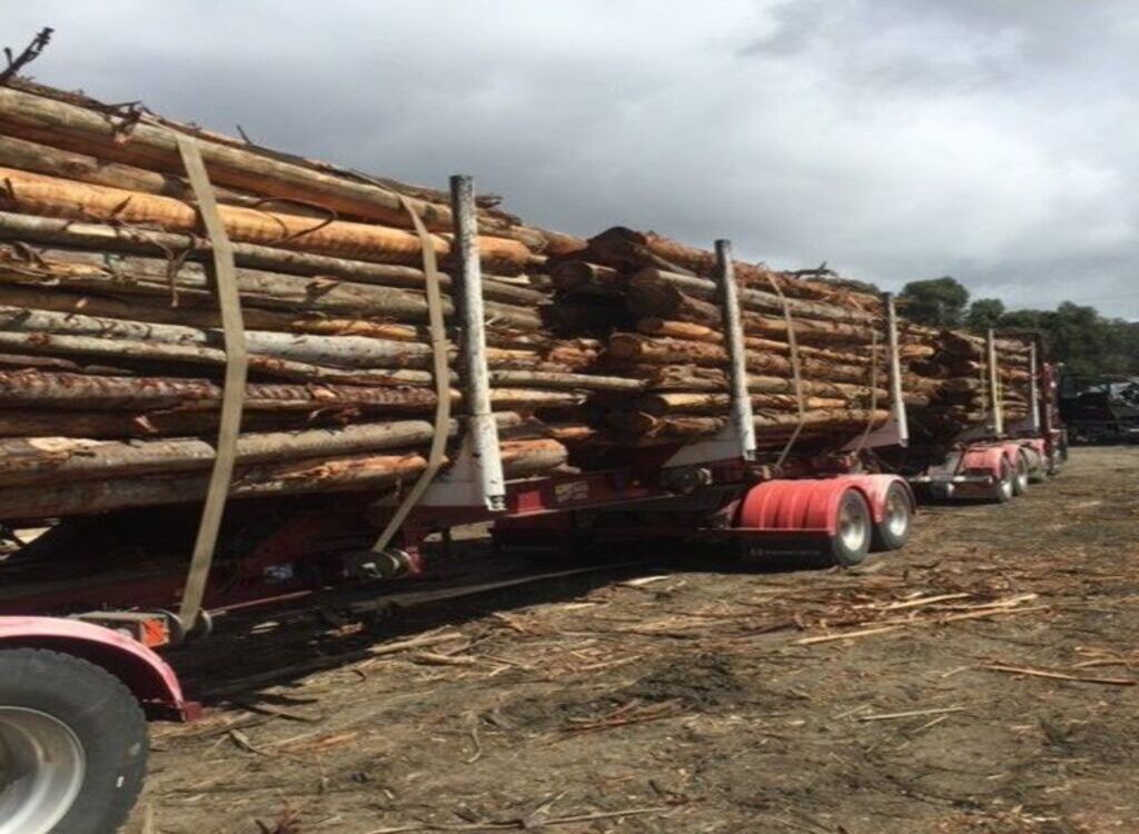 Firewood Devils | Huon Hwy, Leslie Vale TAS 7054, Australia | Phone: (03) 6239 6891