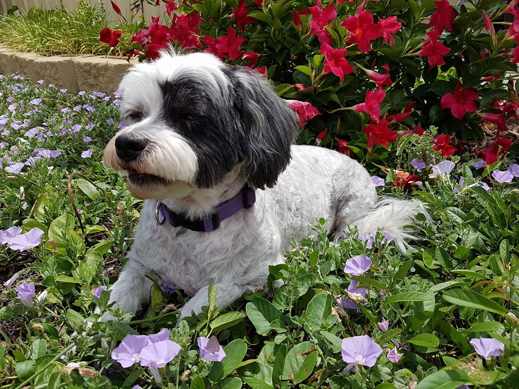 Nowra Taxation Service | 2 Tarawara St, Bomaderry NSW 2541, Australia | Phone: (02) 4422 1807