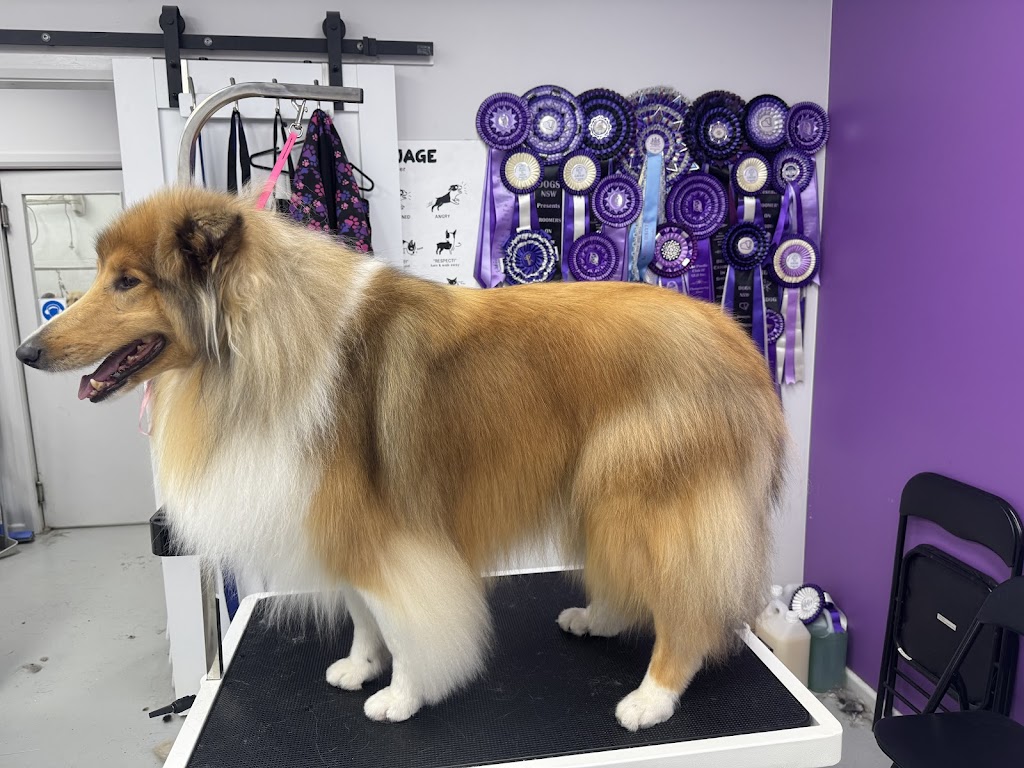 Simply Pawgeous Grooming | 951 Dicksons Rd, Dooralong NSW 2259, Australia | Phone: 0484 671 351