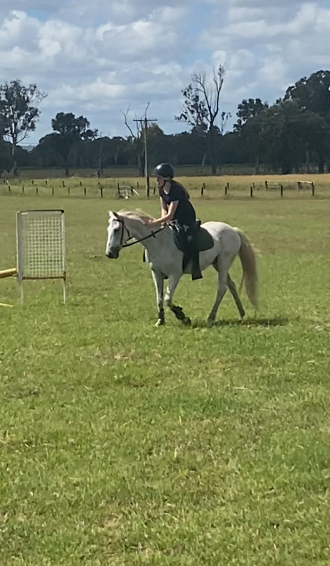 Exhibition Equestrian Centre | 461 Rosewood Laidley Rd, Lanefield QLD 4340, Australia | Phone: 0481 725 789