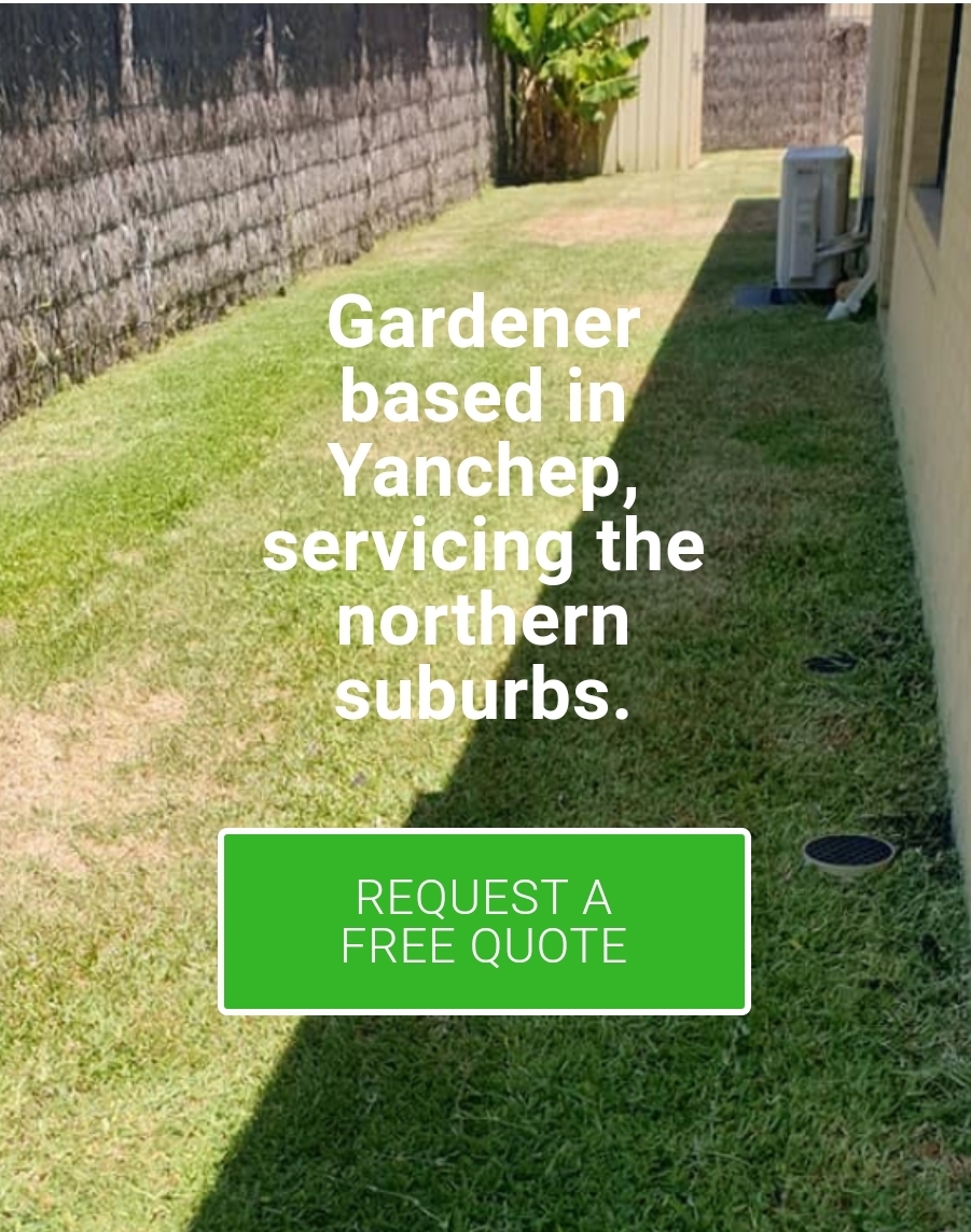 Stuart Lee Harris Garden Services & Maintenance | Island Way, Yanchep WA 6035, Australia | Phone: 0499 360 099
