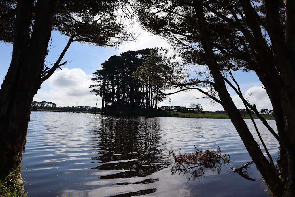 Two Twenty Two Farm Stay | 344 Robbins Rd, Lymwood TAS 7256, Australia | Phone: 0499 932 967
