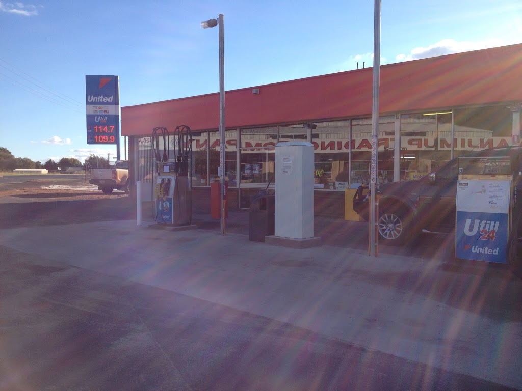United Petroleum | gas station | 14 Pritchard St, Manjimup WA 6258, Australia | 1300383587 OR +61 1300 383 587