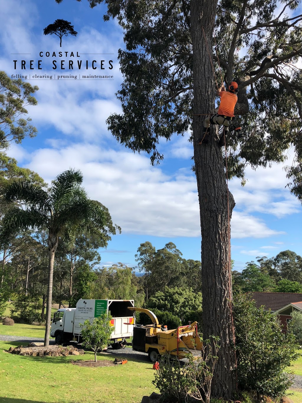 Coastal Tree Services | 12 Karoola Cres, Surfside NSW 2536, Australia | Phone: 0412 665 659