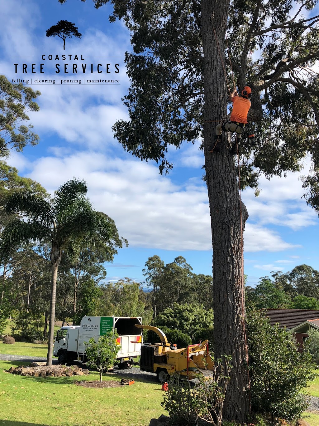 Coastal Tree Services |  | 12 Karoola Cres, Surfside NSW 2536, Australia | 0412665659 OR +61 412 665 659