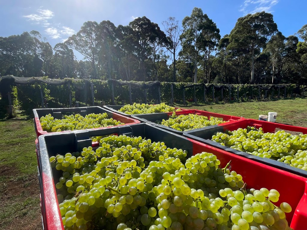 Clarries Track | 20 Donald Lane, Newbury VIC 3458, Australia | Phone: 0419 682 391