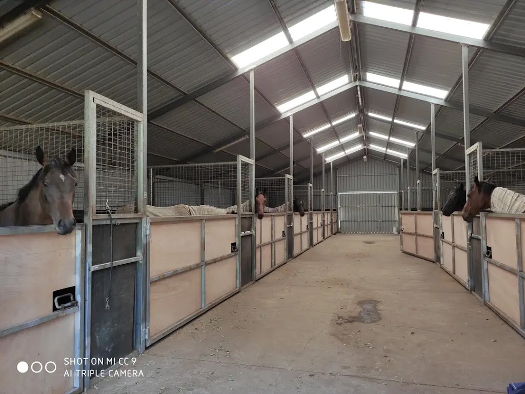 Smiley Chan Racing | 11 Knights Ct, Tynong VIC 3813, Australia | Phone: 0434 067 395
