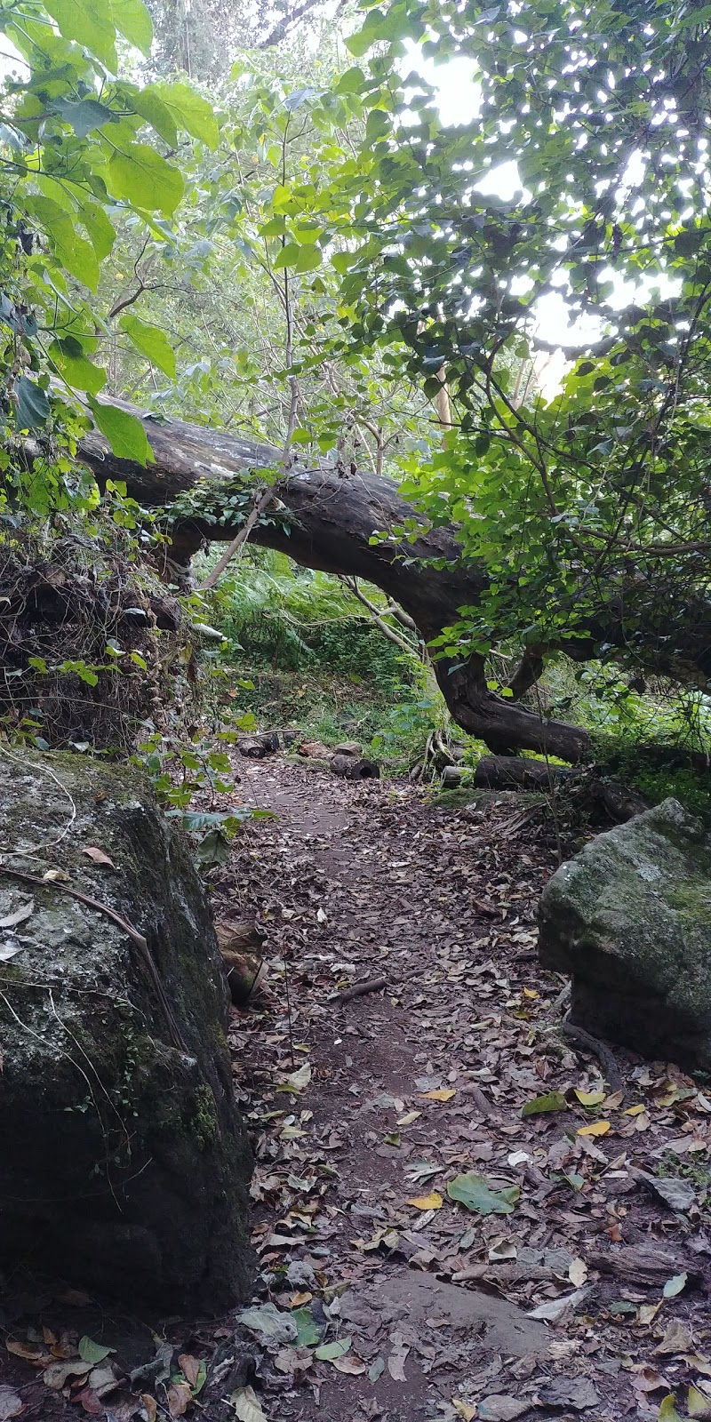 The Grotto Nowra | park | Yurunga Dr, North Nowra NSW 2541, Australia