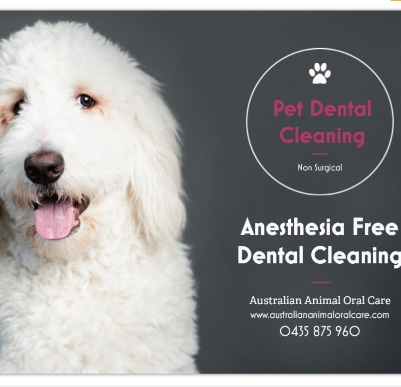 Australian Animal Oral Care | 2-8 Springlands Dr, C/0 Pooch Avenue, Slacks Creek QLD 4127, Australia | Phone: 0435 875 960