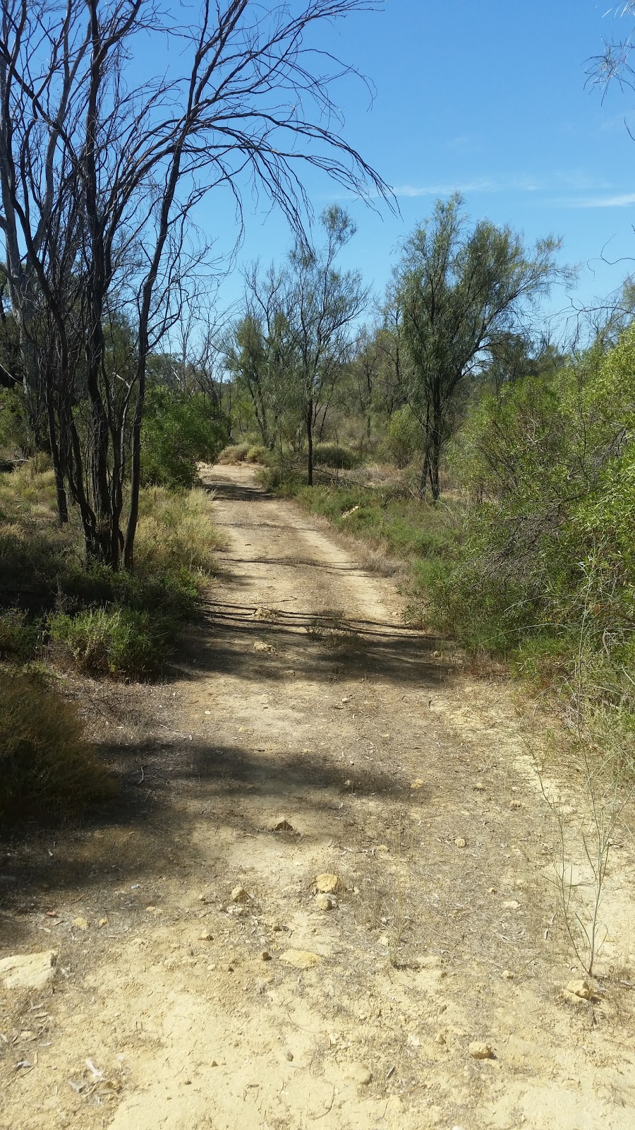 Mallyons On The Murray | cafe | PMB 51, Weston Flat, Highway 64, Waikerie SA 5330, Australia | 0885432263 OR +61 8 8543 2263