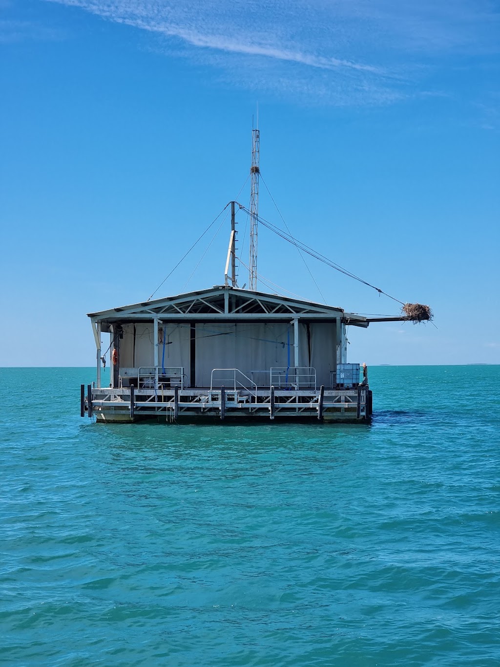 Aristocat2 Perfect Nature Cruises | 1 Monkey Mia Rd, Monkey Mia WA 6537, Australia | Phone: 1800 030 427