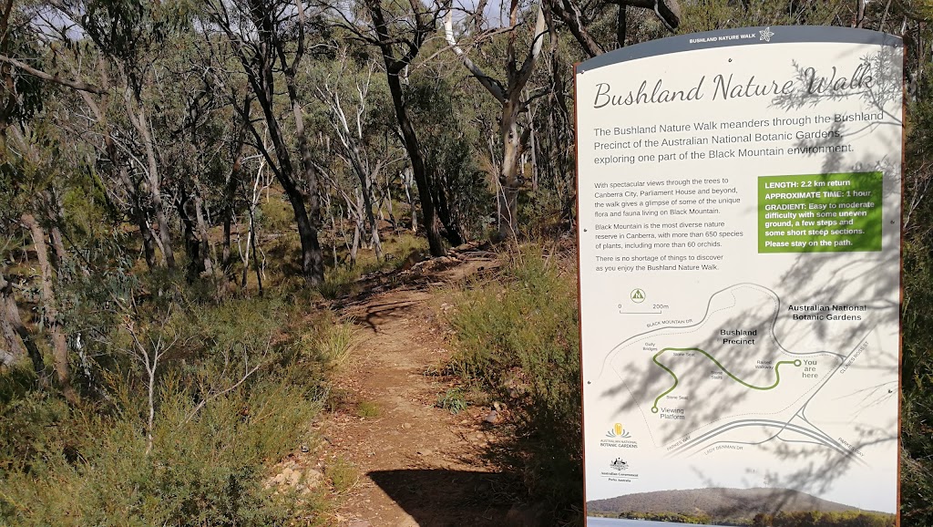 Bushland Nature Walk | tourist attraction | Black Mountain Dr, Acton ACT 2601, Australia | 0262509588 OR +61 2 6250 9588