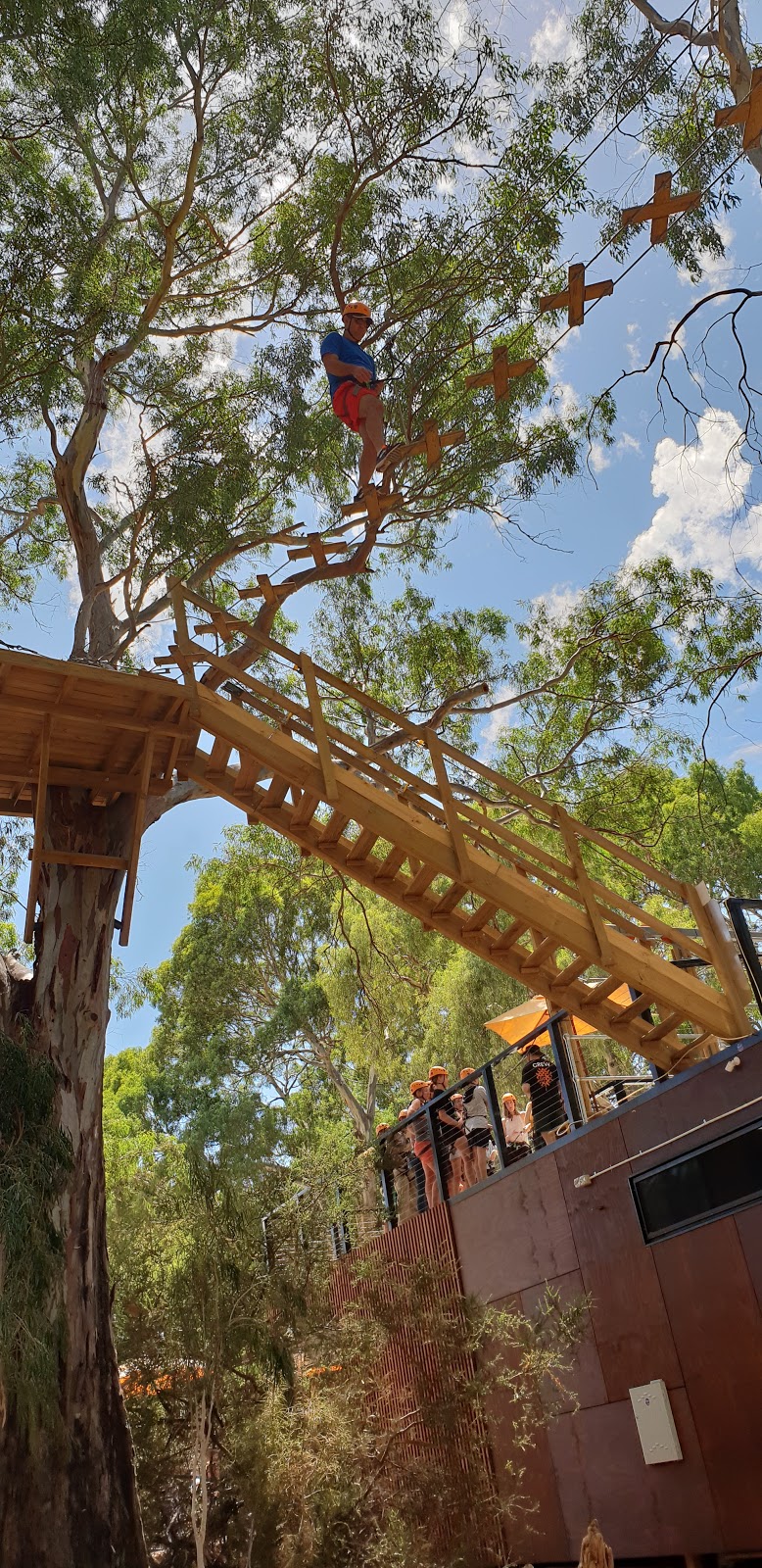 TreeClimb | amusement park | Cnr Greenhill Road &, Unley Rd, Adelaide SA 5000, Australia | 0411268486 OR +61 411 268 486