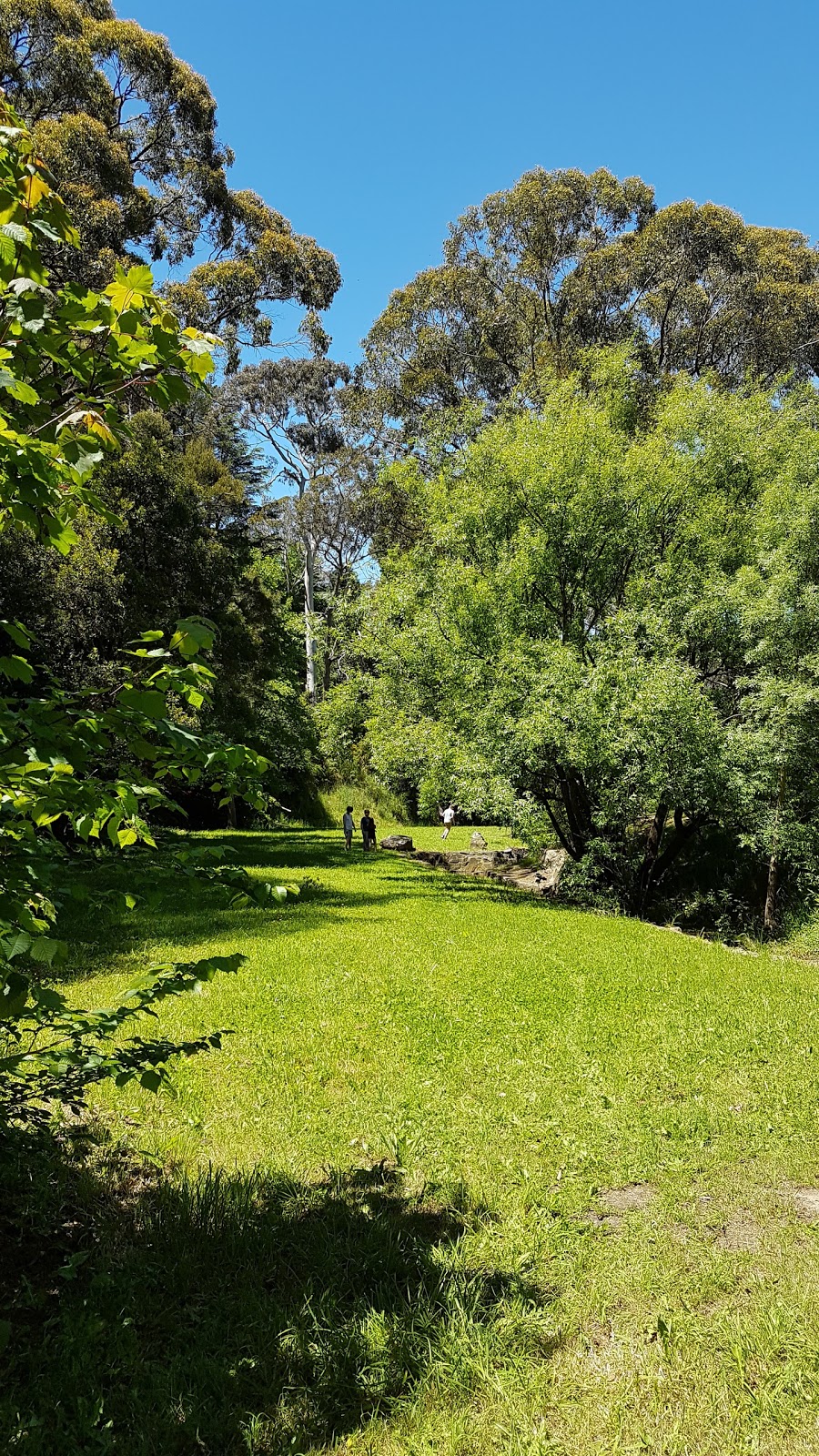 Apex Park | park | Merrion Terrace, Stirling SA 5152, Australia