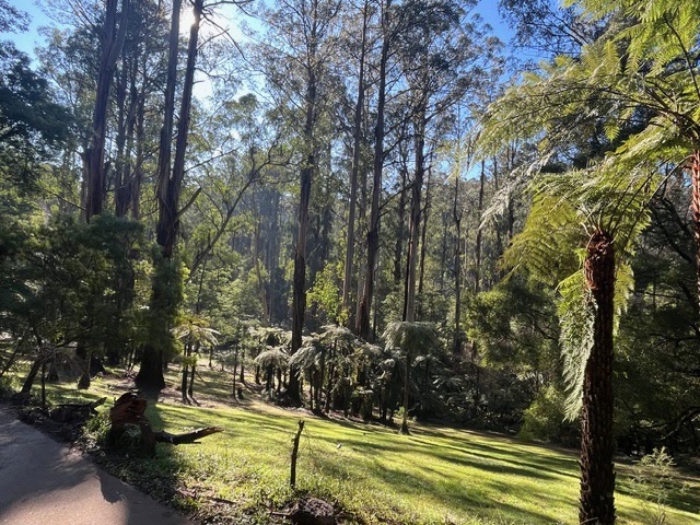 Living Waters Accommodation | 76 Sassafras Creek Rd, Sherbrooke VIC 3789, Australia | Phone: 0449 606 865