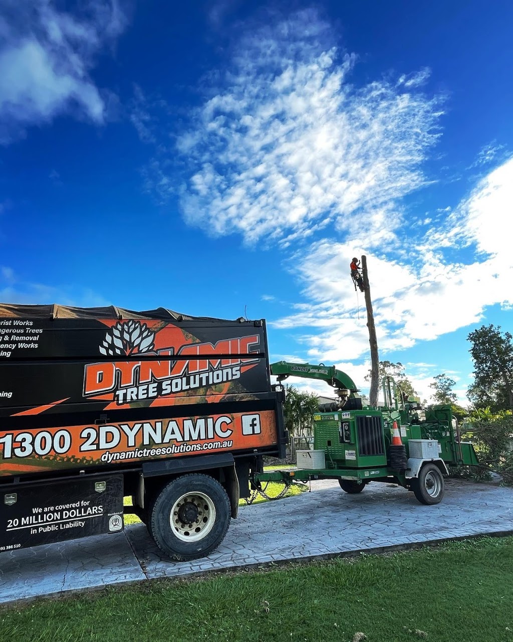 Dynamic Tree Solutions | Middle Rd, Greenbank QLD 4124, Australia | Phone: 1300 239 626