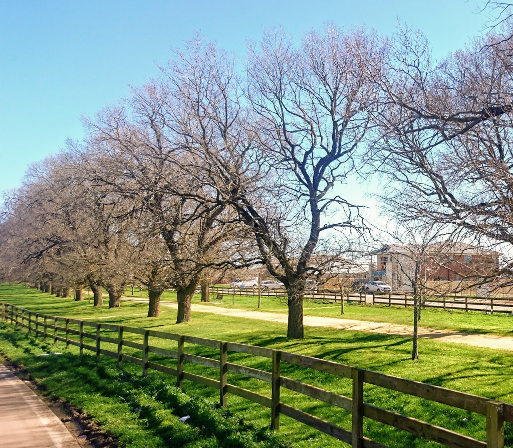 Recreation Reserve | park | 21 Grices Rd, Clyde North VIC 3978, Australia