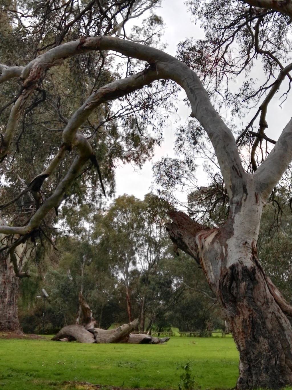 Boundary Park | park | Coppleridge Dr, Elizabeth Vale SA 5112, Australia