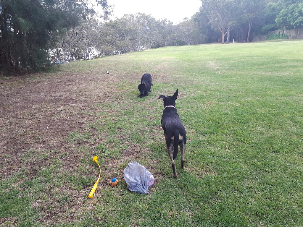 Caroline Bay Reserve Dog Off Leash Exercise Area | park | George St, East Gosford NSW 2250, Australia | 0243258222 OR +61 2 4325 8222
