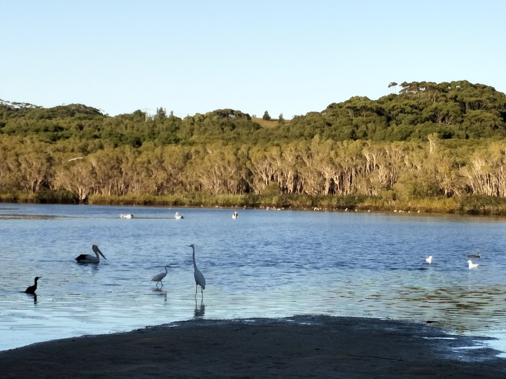 Broken Head Nature Reserve | Broken Head NSW 2481, Australia | Phone: (02) 6620 9300