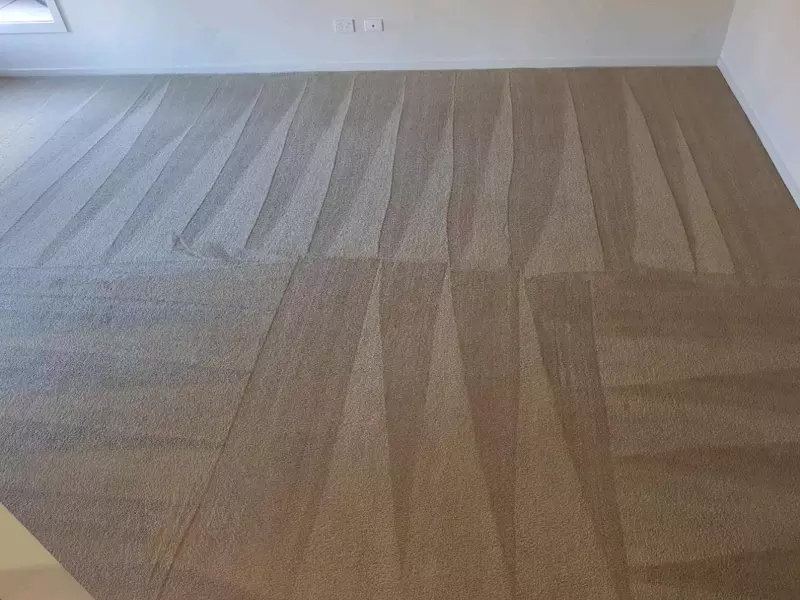 Buzy Carpet Cleaning Daylesford | 2 Leggatt St, Daylesford VIC 3460, Australia | Phone: (03) 8372 0579