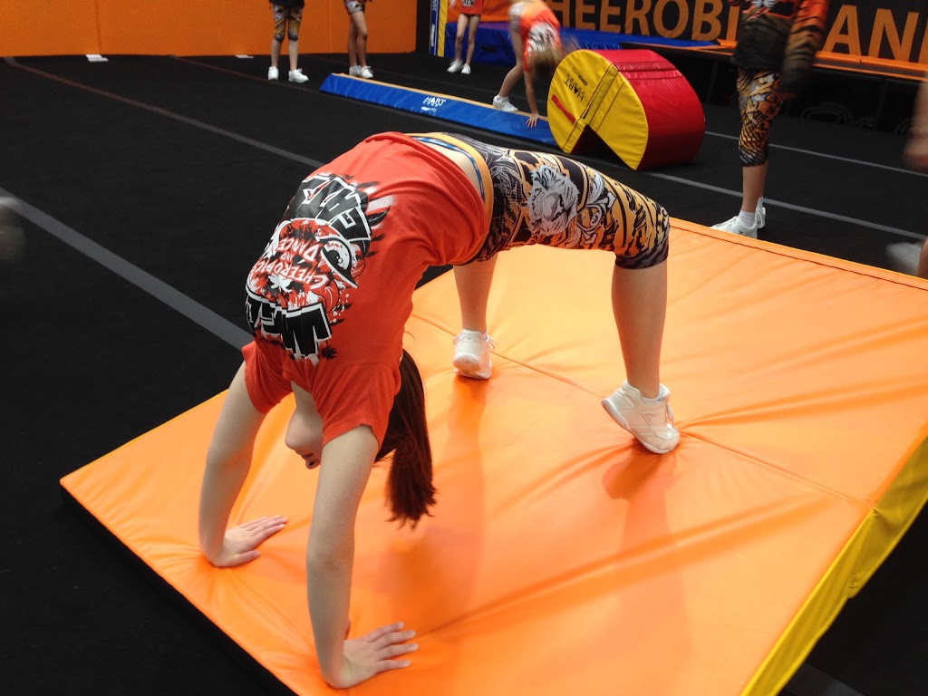 Jungle Cats Cheerleading, Aerobics and Dance | gym | 25 Bayport Ct, Mornington VIC 3931, Australia | 0487274985 OR +61 487 274 985