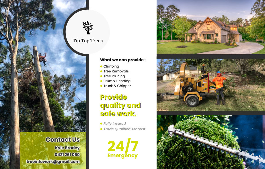 Tip Top Trees |  | Bli Bli QLD 4560, Australia | 0421261060 OR +61 421 261 060