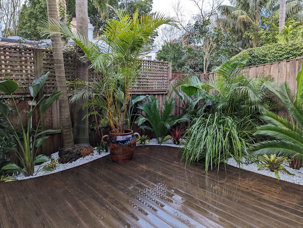 Seed to Sky | 5 Prince St, Thirroul NSW 2515, Australia | Phone: 0479 140 475 Seed to Sky | 5 Prince St, Thirroul NSW 2515, Australia | Phone: 0479 140 475