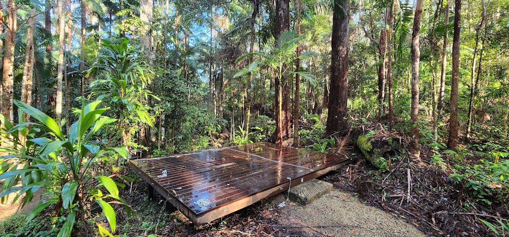 Connect Adventures - Gidjuum Gulganyi Walk | Minyon Dr, Whian Whian NSW 2480, Australia | Phone: 0492 981 811