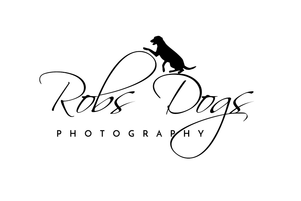 Robs Dogs Pet Photography |  | Clements Dr, Avoca Beach NSW 2251, Australia | 0439559210 OR +61 439 559 210