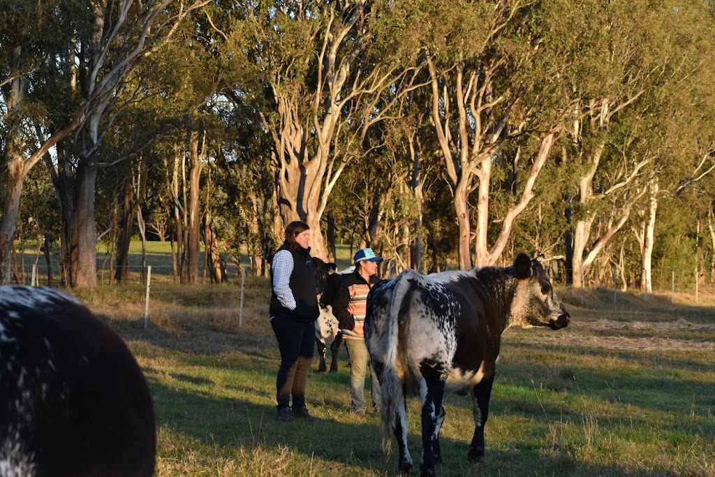 Benbullen Speckle Park Meats | Maffco La, Maffra VIC 3860, Australia | Phone: 0473 469 186