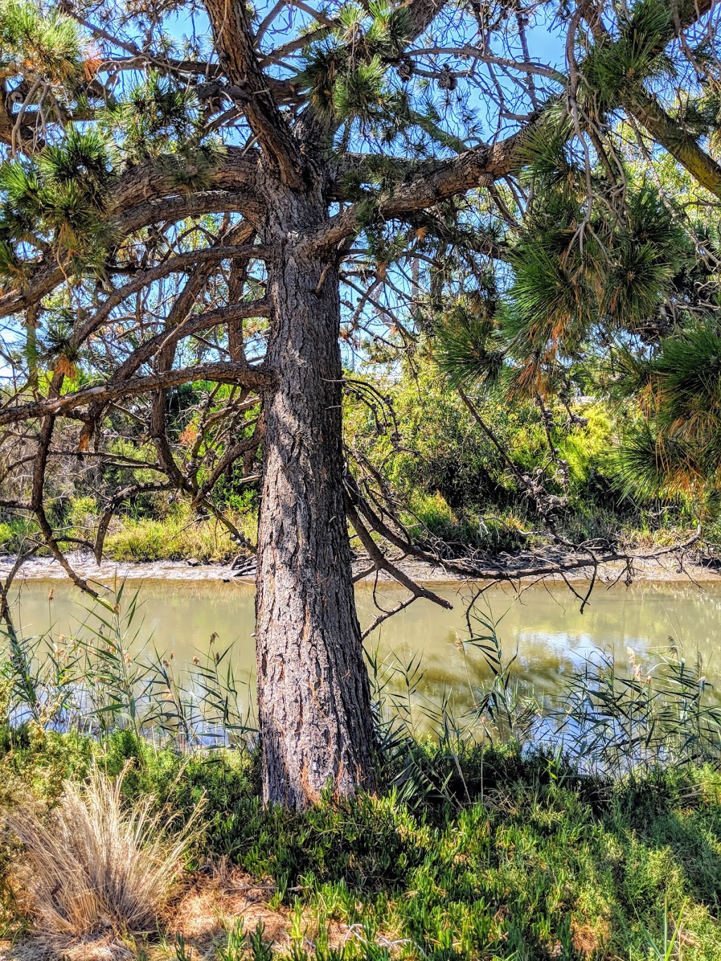 Bay Trail Seaford | Seaford VIC 3198, Australia