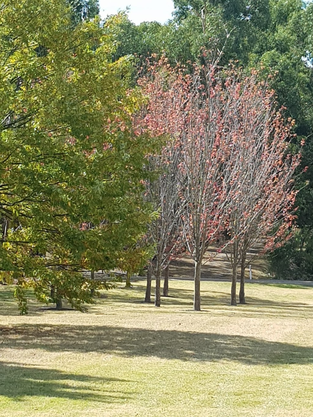 The Garden Vineyard | 174 Graydens Rd, Moorooduc VIC 3933, Australia | Phone: (03) 5978 8661