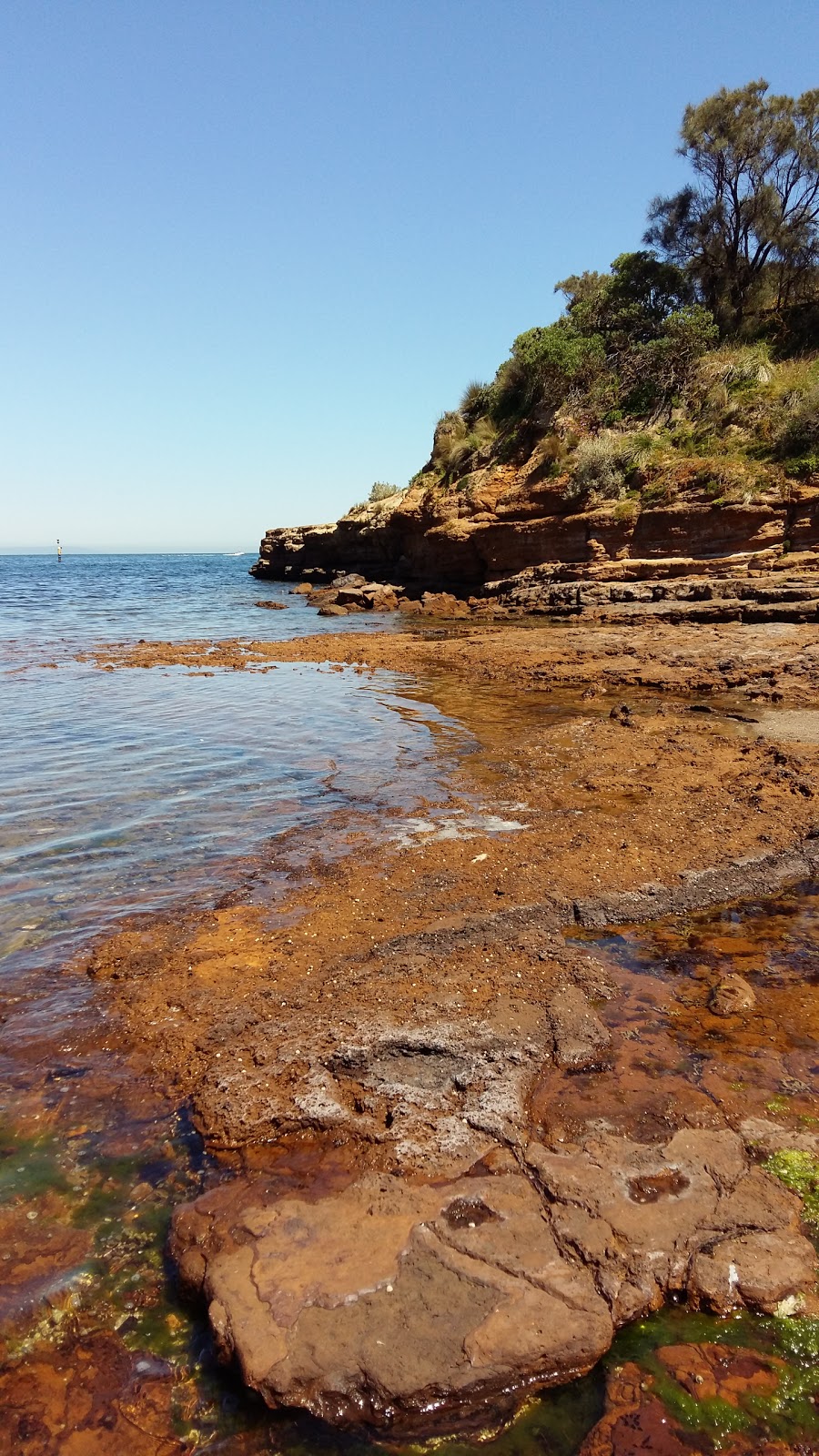 Ricketts Point Marine Sanctuary | park | Port Phillip Bay, Beaumaris VIC 3193, Australia | 131963 OR +61 131963