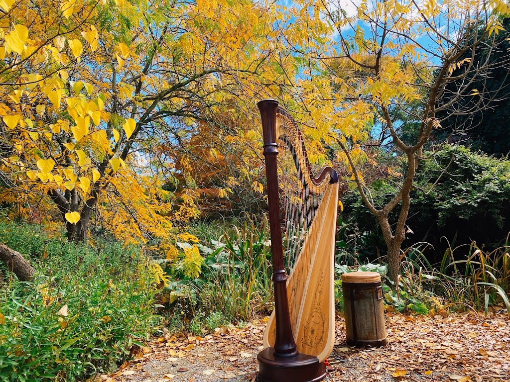 Melbourne Harpist - Glavier Aldana | 1101 Toorak Rd, Camberwell VIC 3124, Australia | Phone: 0412 131 571